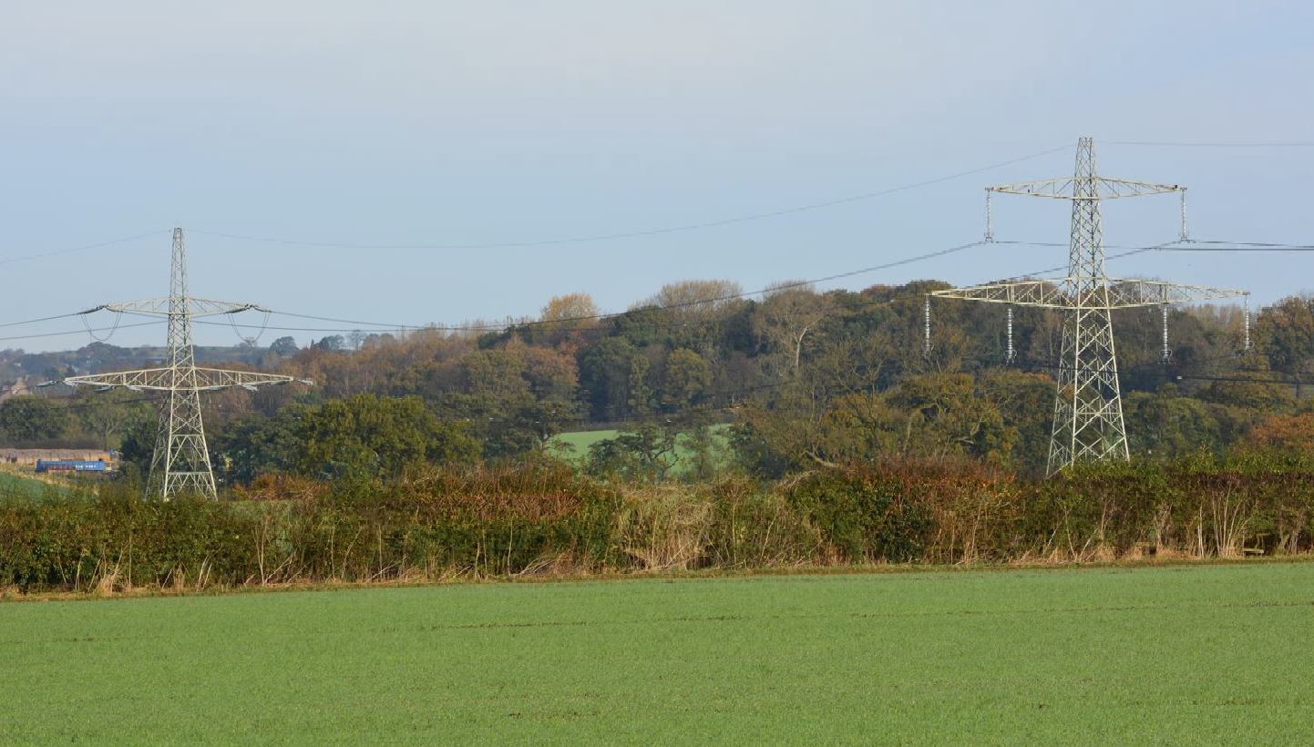 Field with pylons
