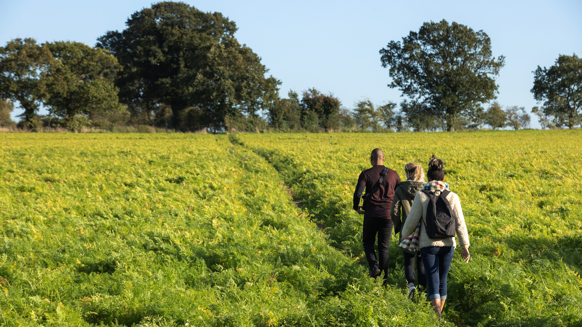 Three people walking through field