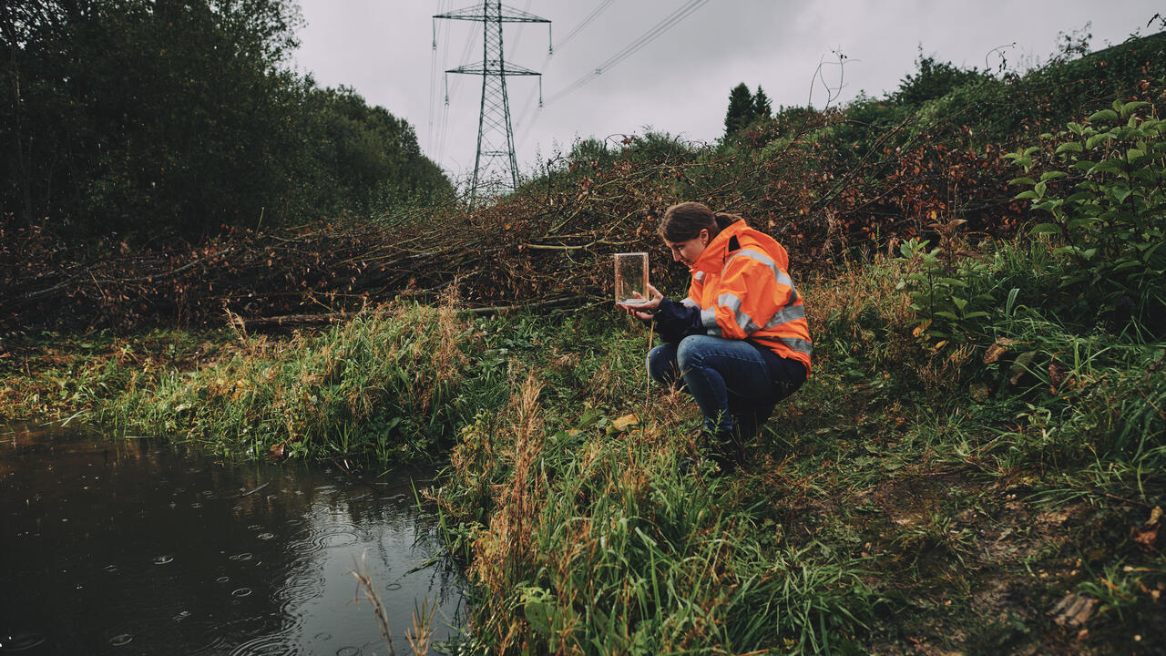 Woman wearing an orange high-vis jacket crouching by a pond and holding a glass jar with a newt