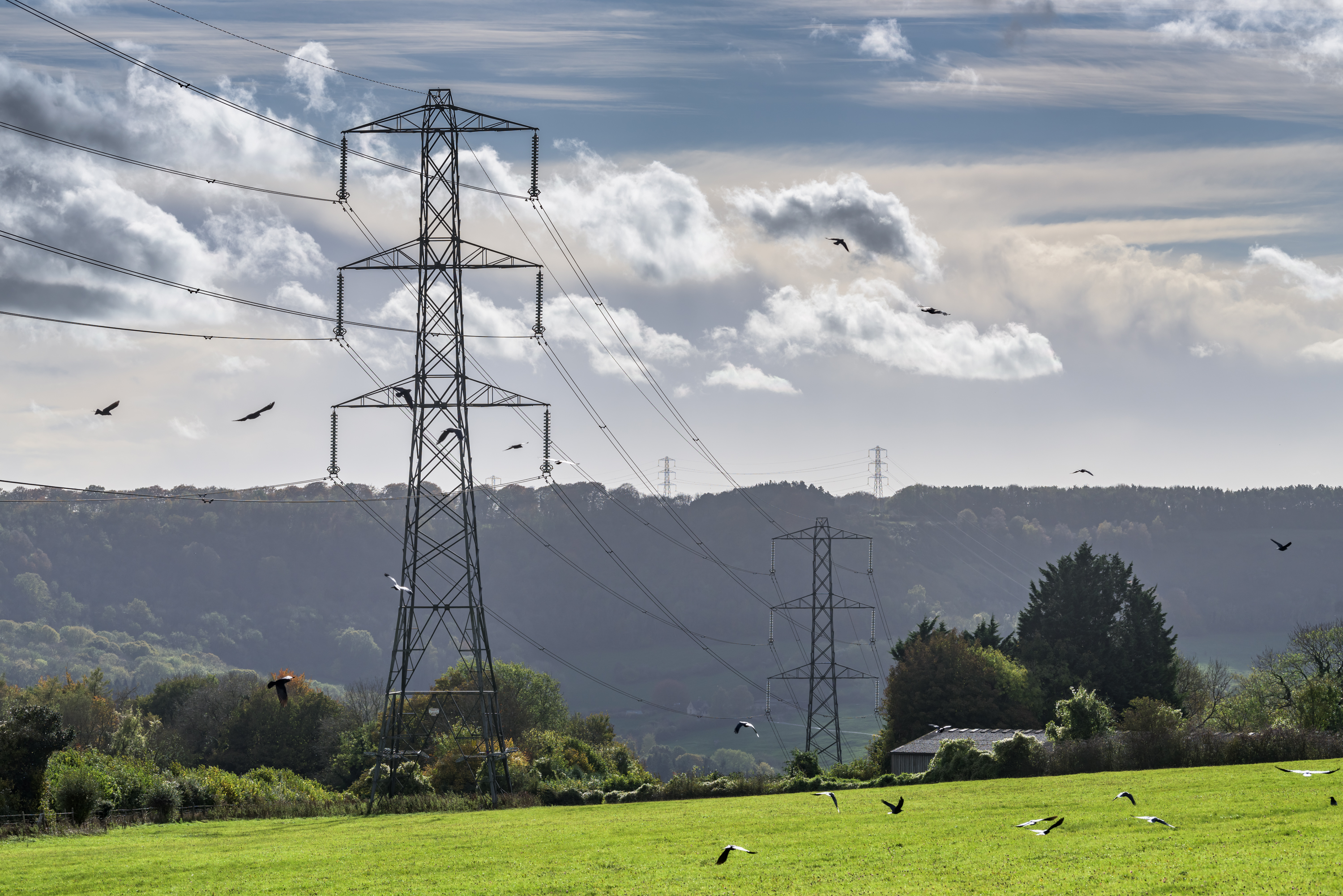 Electricity pylons in countryside