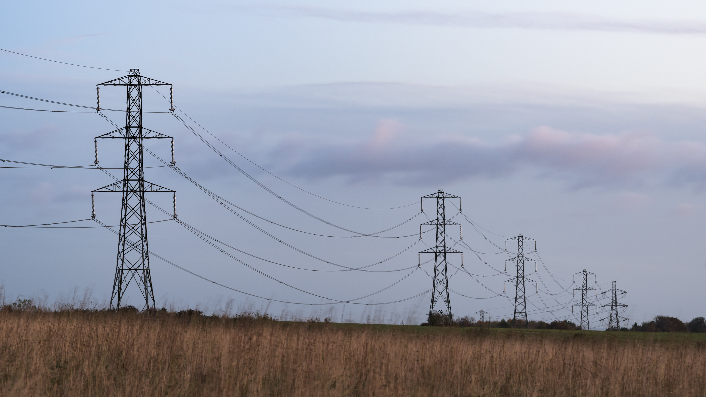 Pylons in field