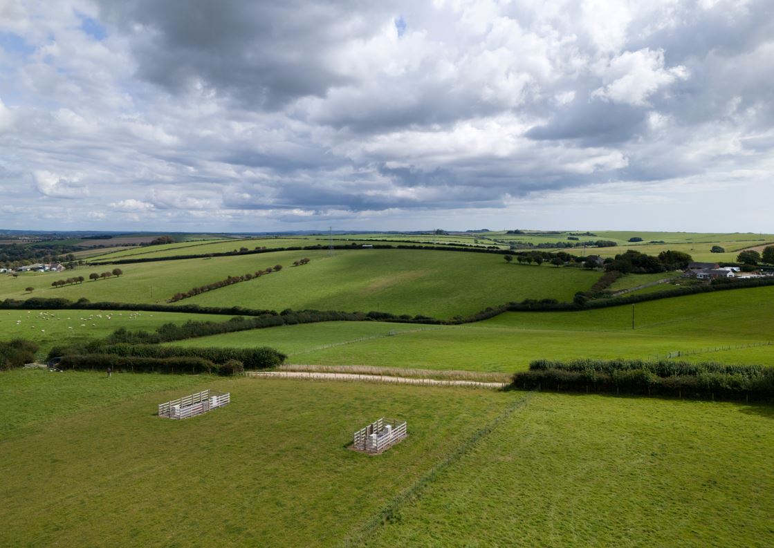 Dorset landscape