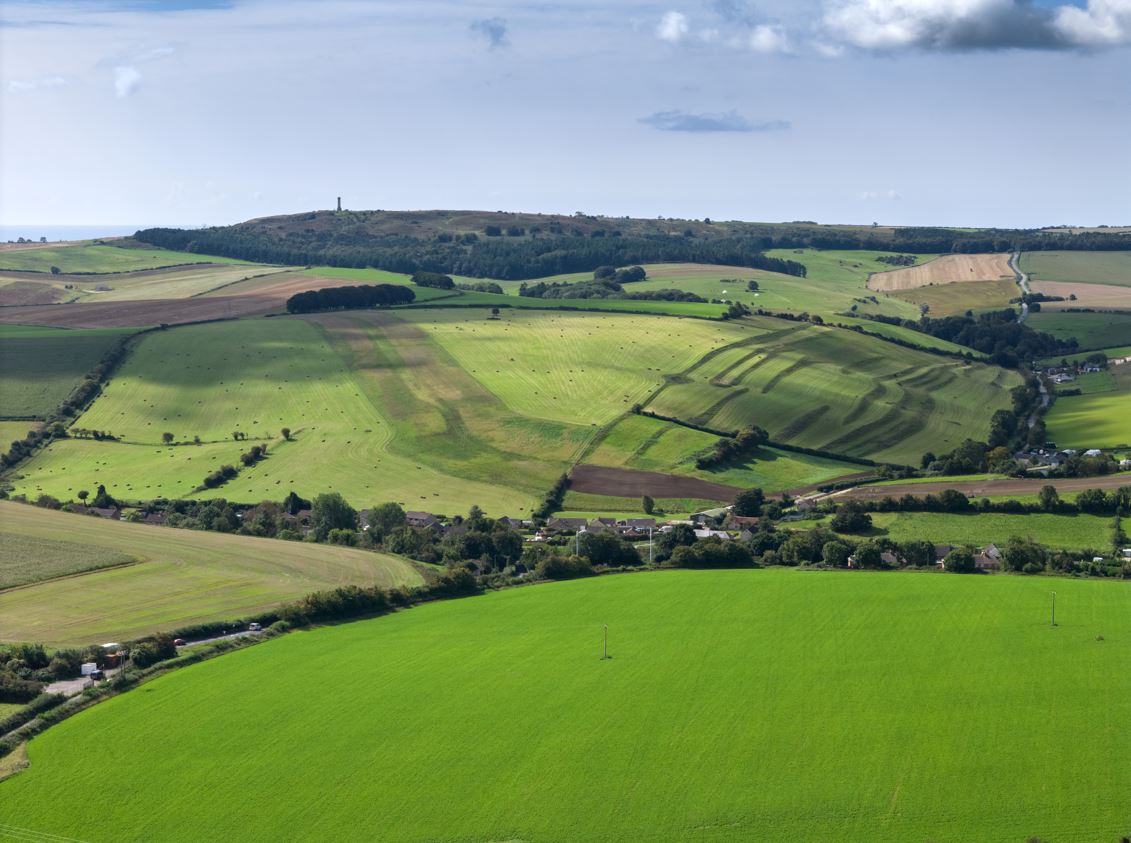 Dorset restoration