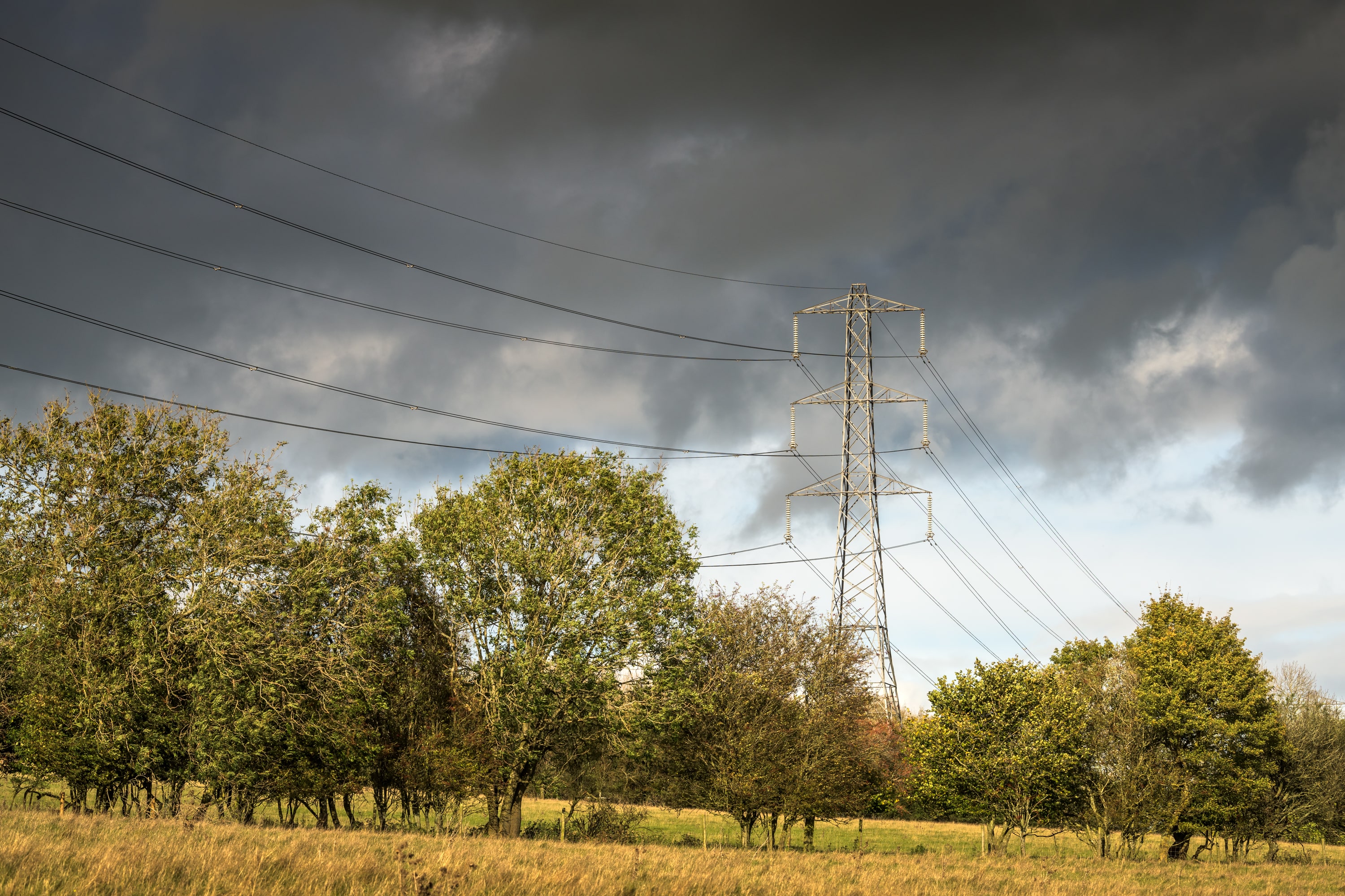 Photo of pylon looking across a field full of trees in the Cotswolds National Landscape