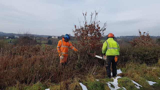 Two mean wearing PPE and one with a chainsaw clearing undergrowth in fields