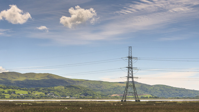 Embracing biodiversity in Wales - Lattice electricity pylon in field with hills in the background