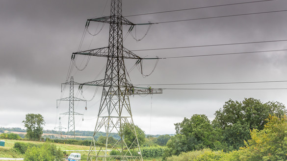 Grass and high trees surrounding a series of electricity pylons with a grey and cloudy sky in the background