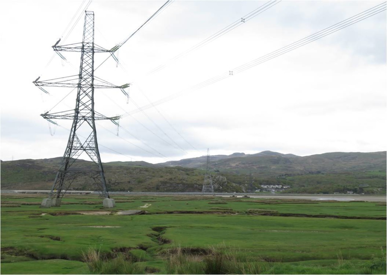 Electricity transmission pylons in boggy estuary in Snowdonia, Wales