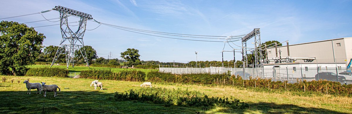 Bodelwydan substation and sheep