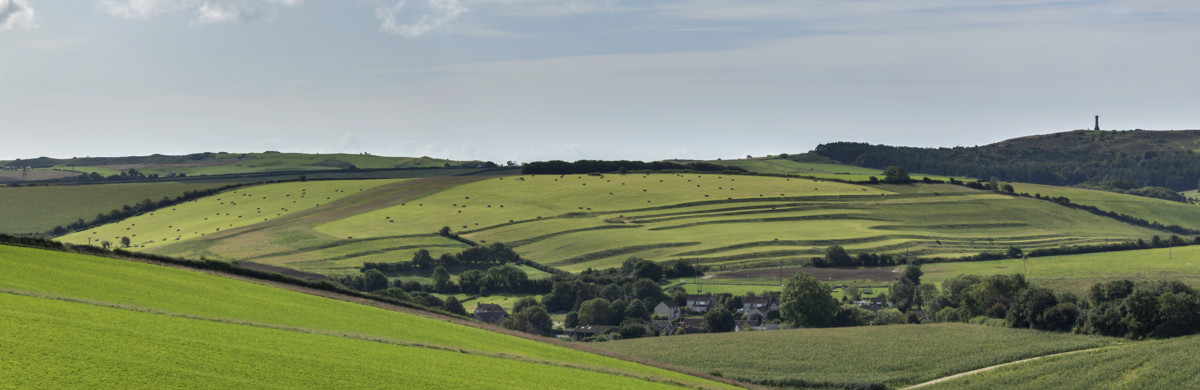 Dorset VIP landscape