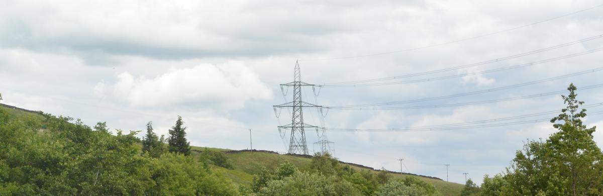 A car park leading up to a forest entrance with an electricity pylon in the background 