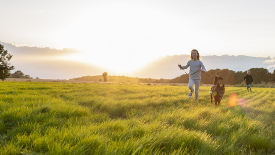 Children running with a dog in a green field at sunset