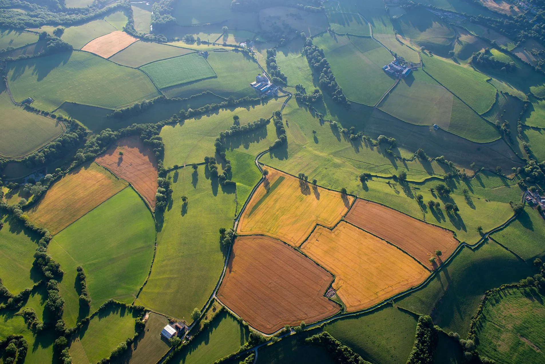 Aerial image of fields