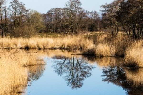 nature reserve