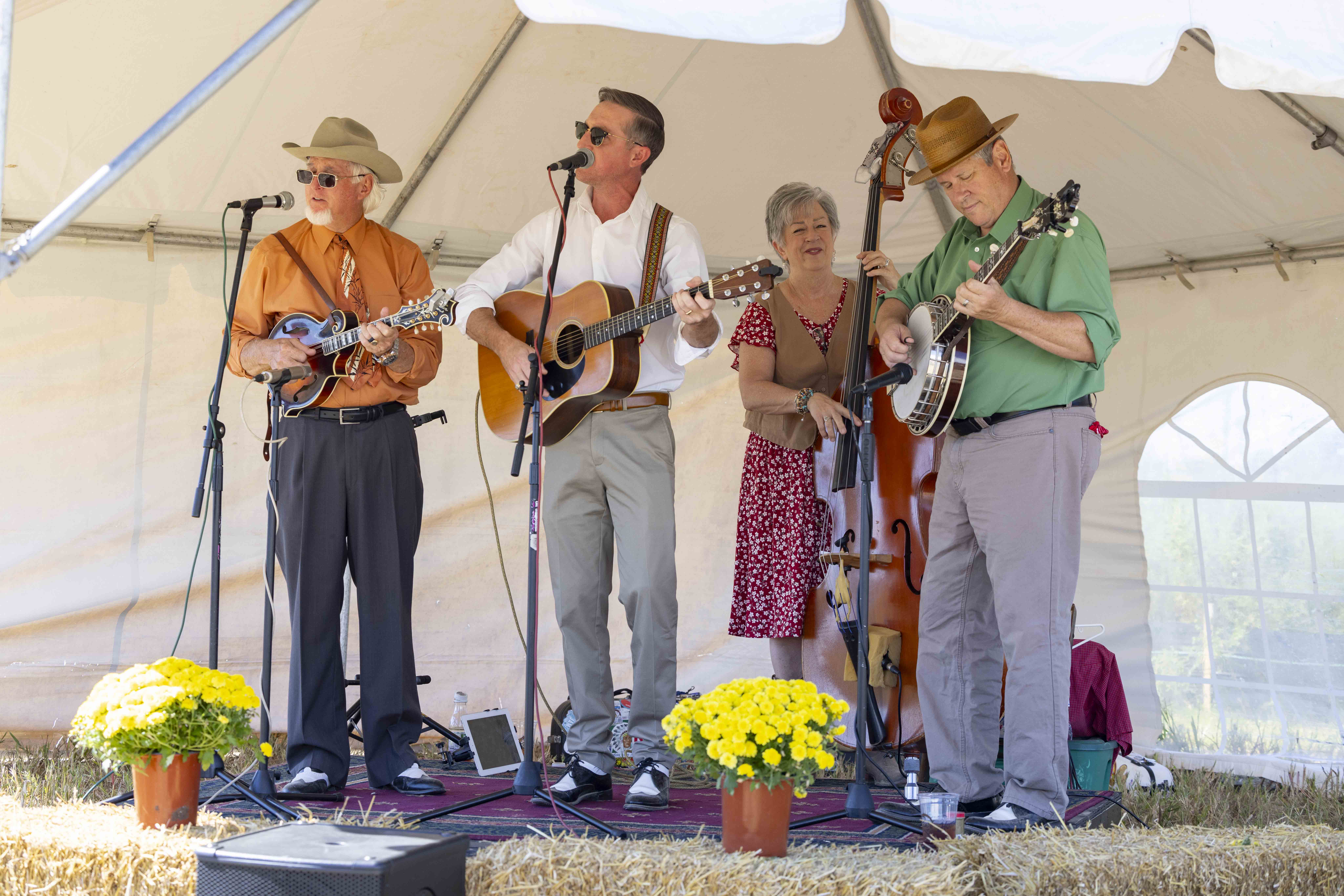 Group of musicians performing on stage