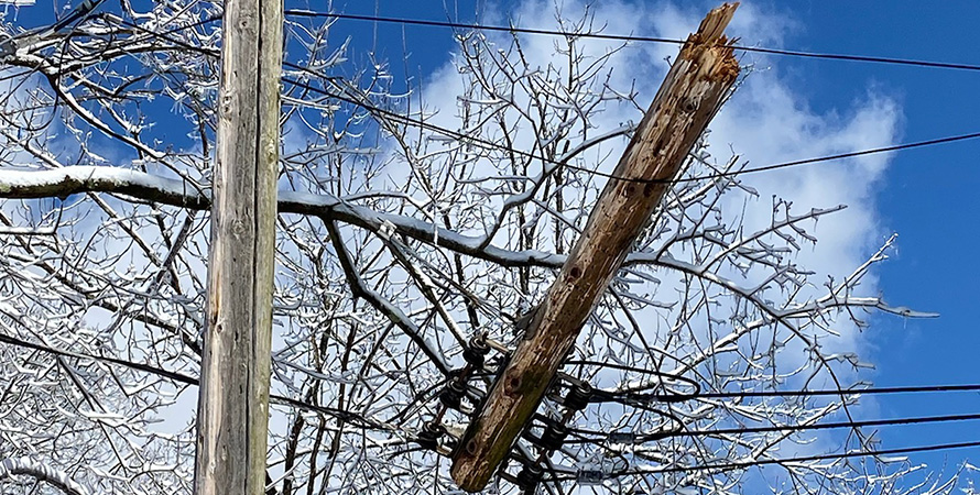 Broken tree branch on power lines 
