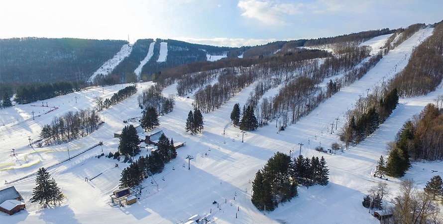 A place filled with Ice and the Trees on it