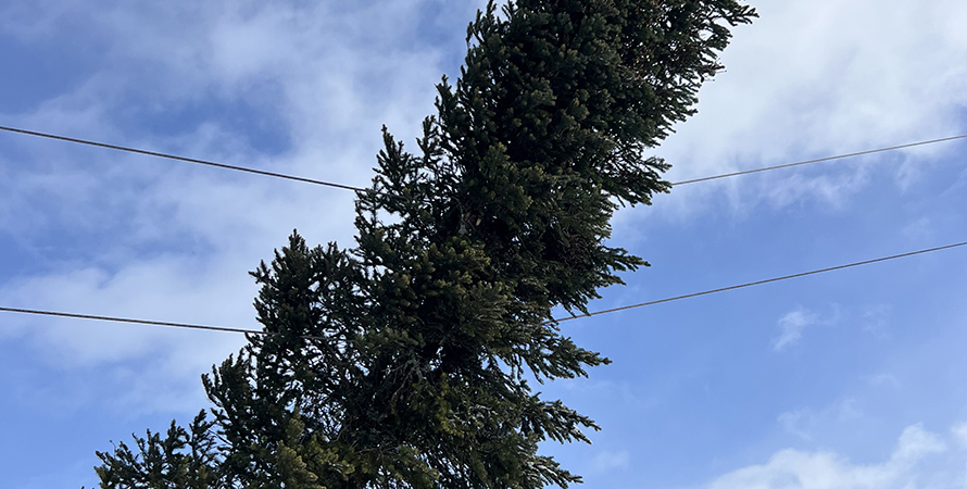 National Grid power restoration after wind strom