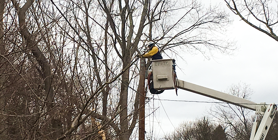 A man climbed on a tree
