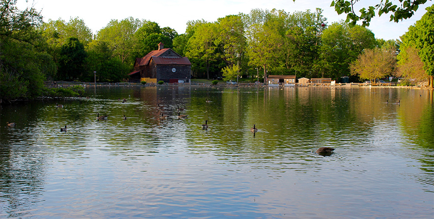A Lake