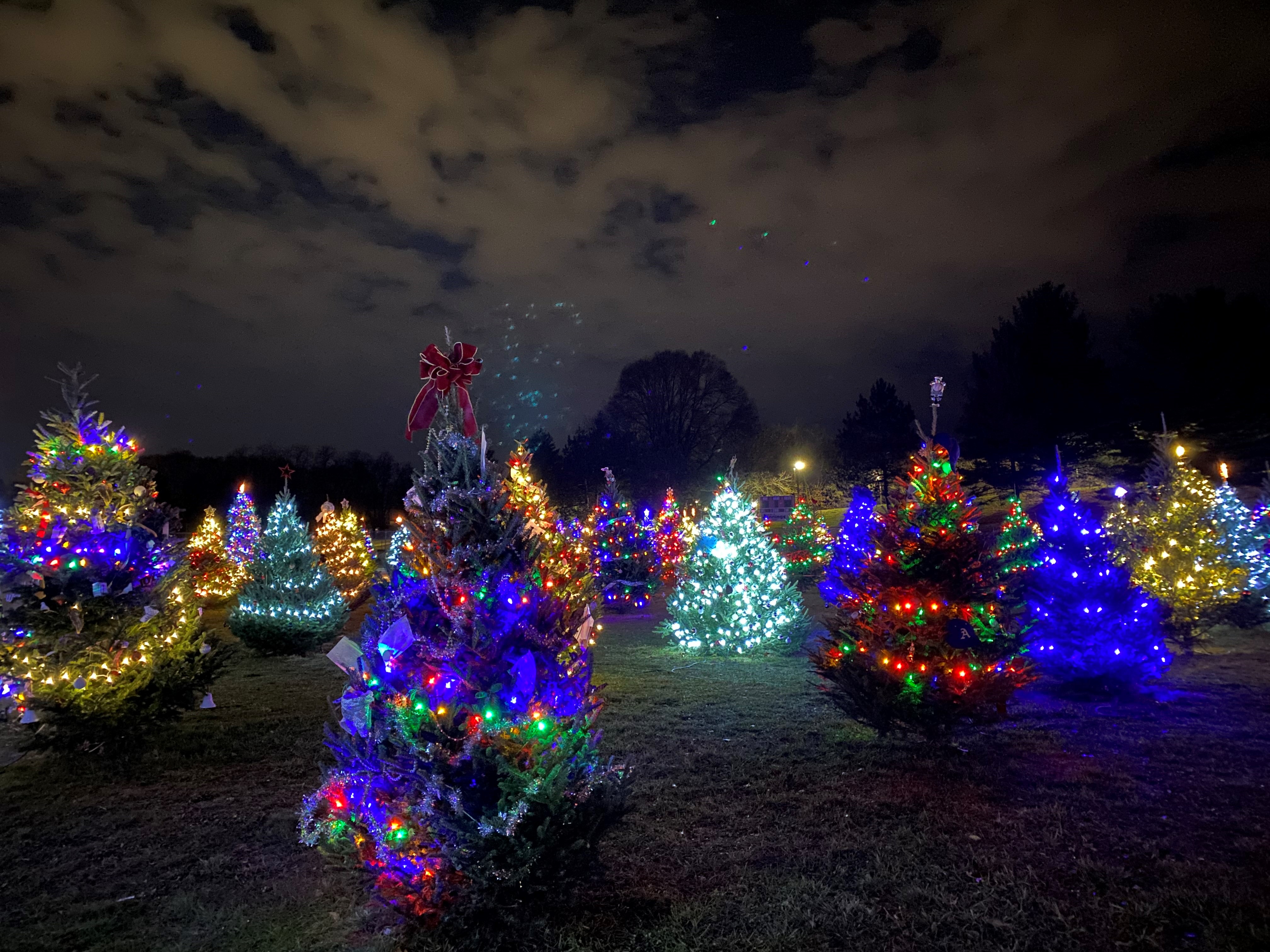 Christmas Trees