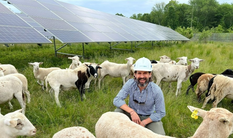 National Grid Solar Grazing Project
