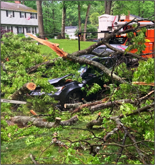 Car_Accident