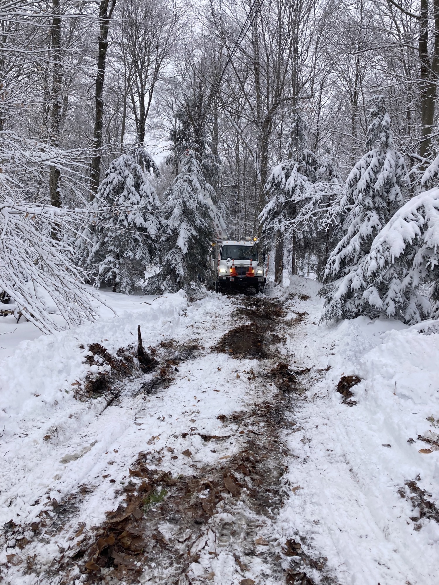 Utility truck travelling in snow forest 