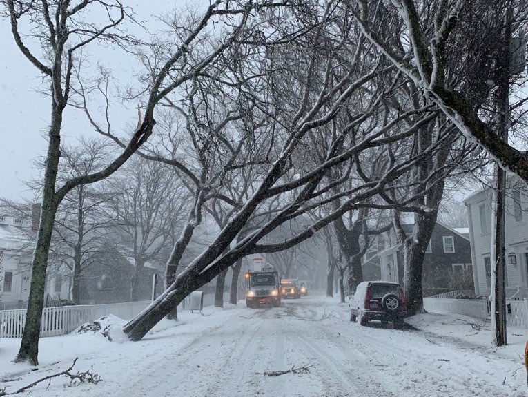 Downed limbs, trees, and poles