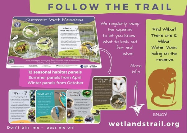 Trail flyer