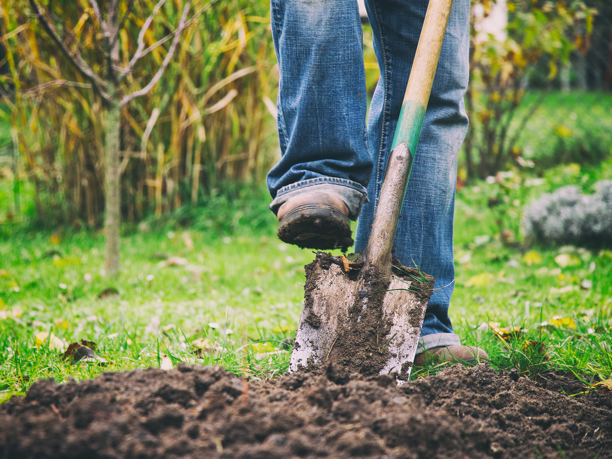 Digging ground 