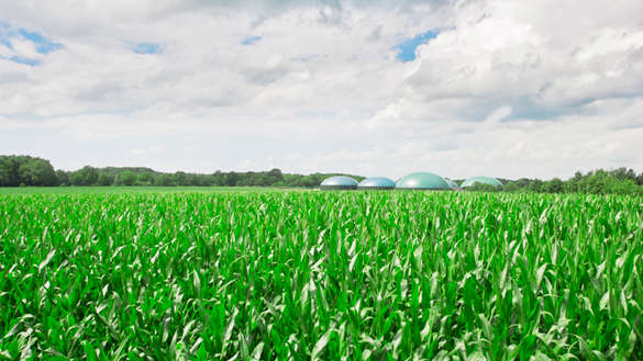 What is biogas? | National Grid Group