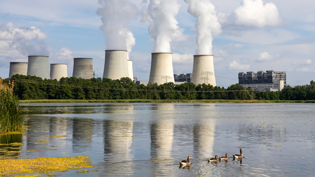 Power station by a lake with geese swimming in the foreground