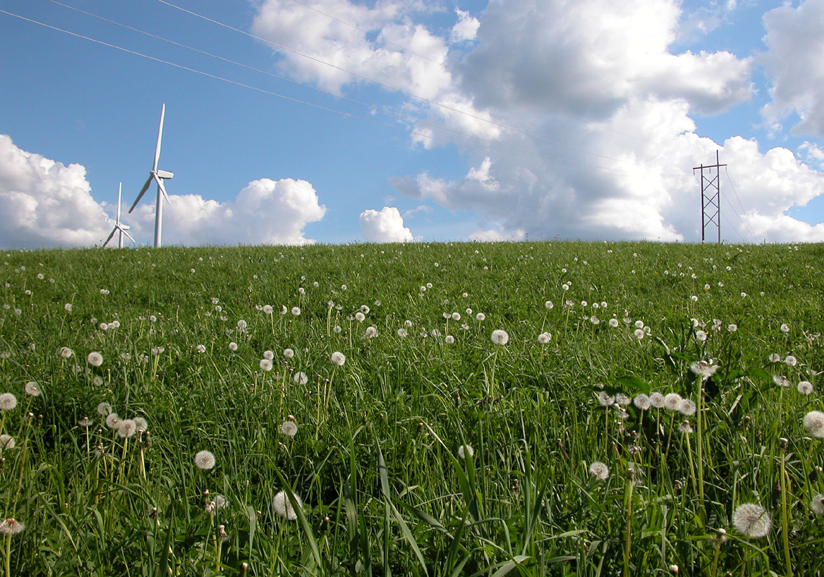 Green field with wind turbines and electricity transmission tower for National Grid US green bond story