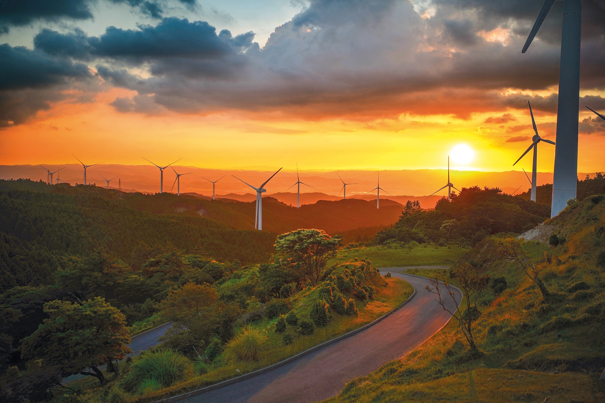 Annual Report 2019/20 Banner