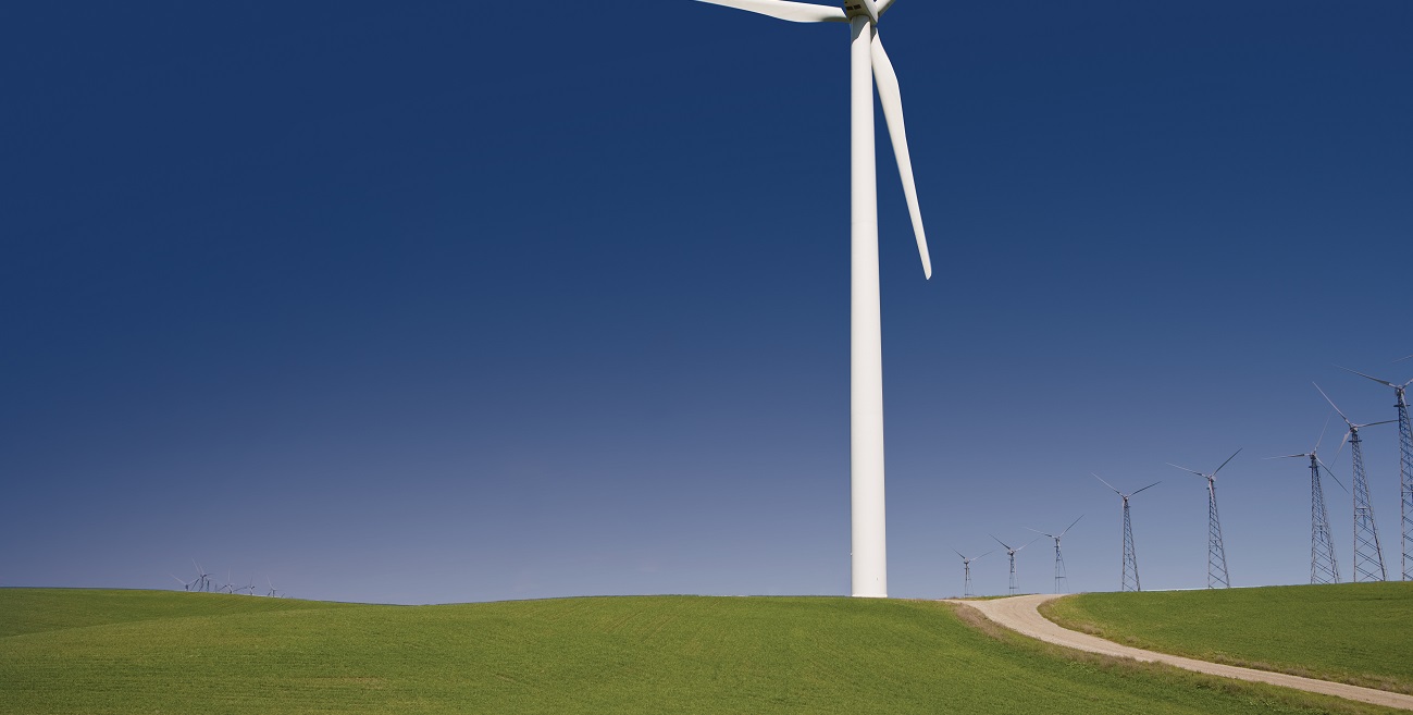 Windfarm against blue skies