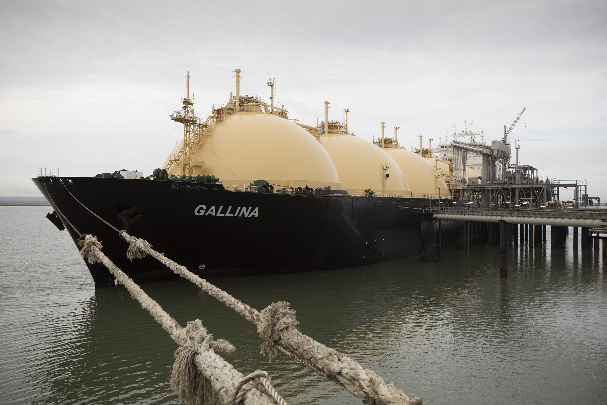 Grain ship docked in harbour