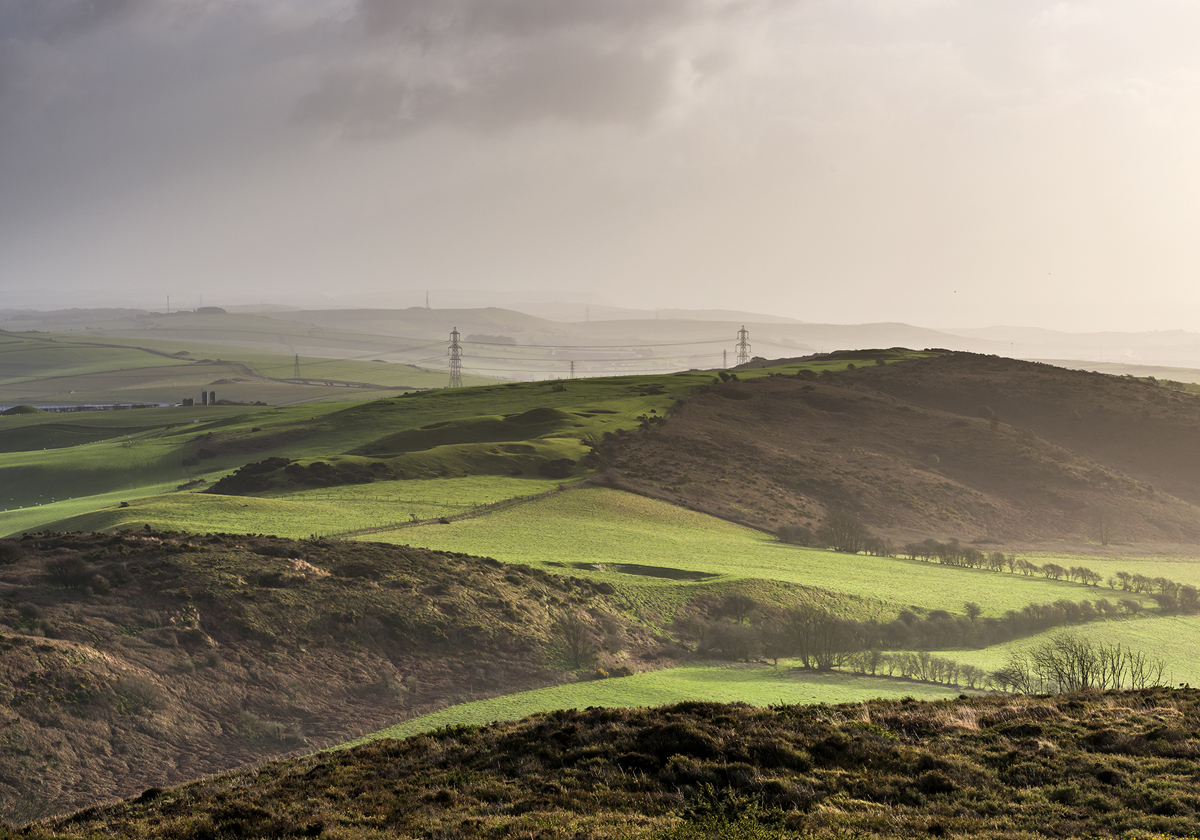 Transmission lines traversing green countryside - used for National Grid Hinkley Connection archaeological finds story