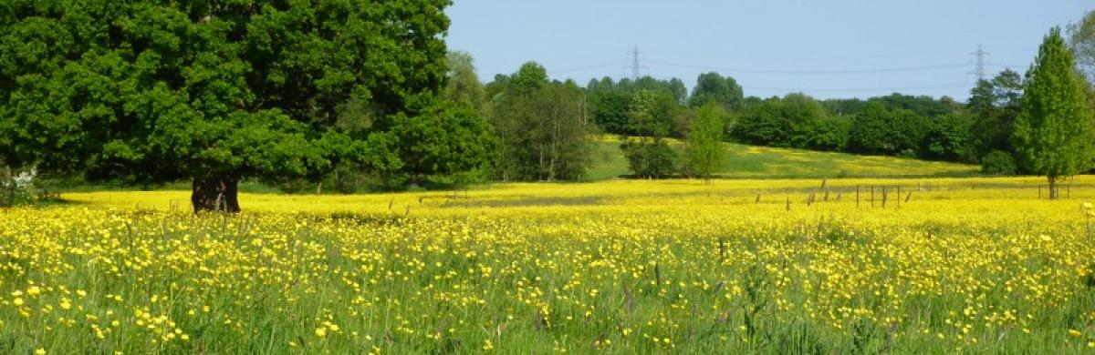 Bramford to Twinstead