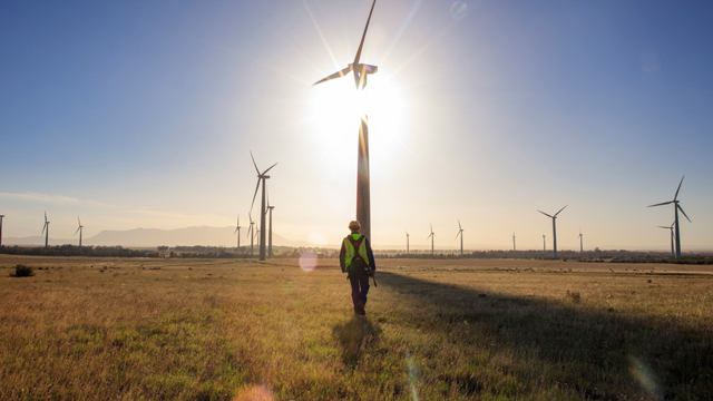 Man wearing a hard hat and high-vis vest walking towards wind turbines in a field