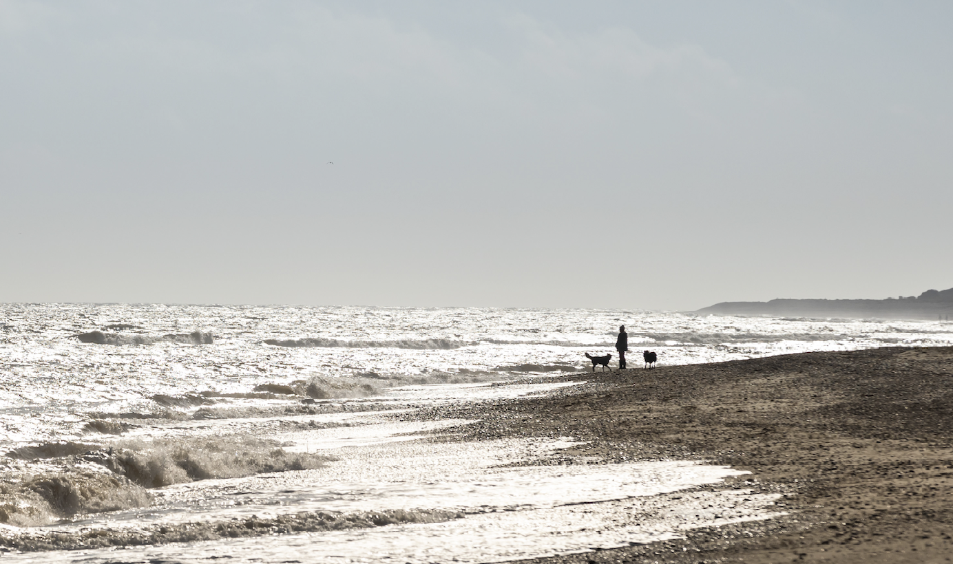 Family walking on beach