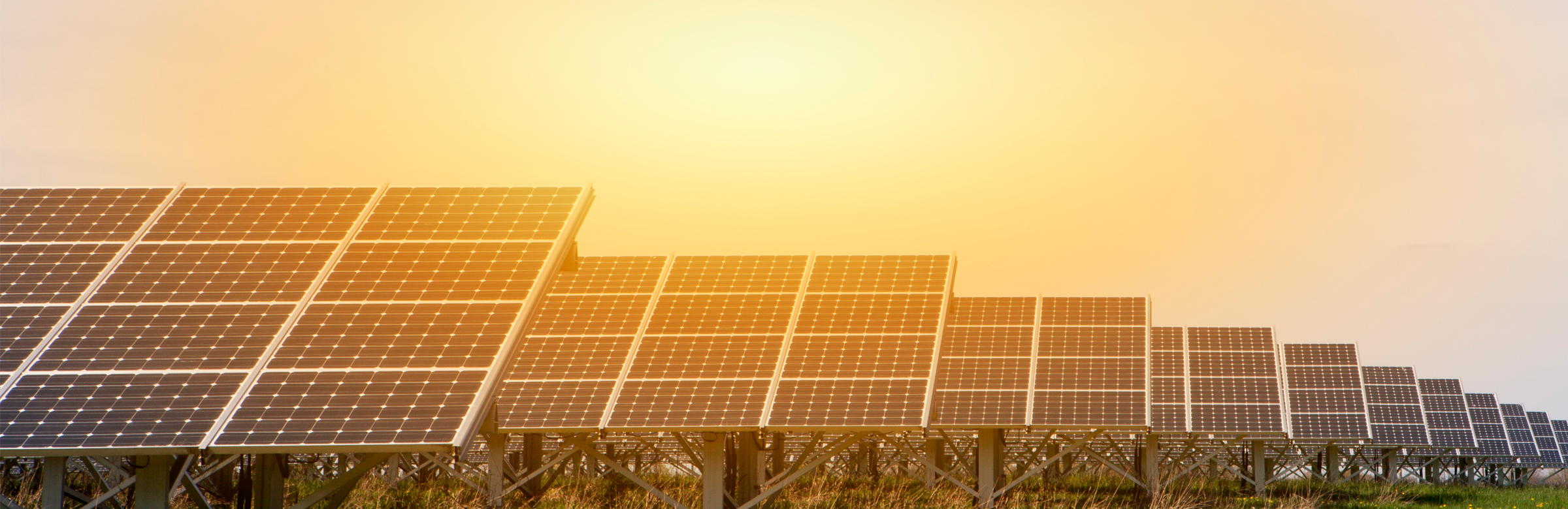 A field of solar panels with a setting sun in the background - Vision and Strategy