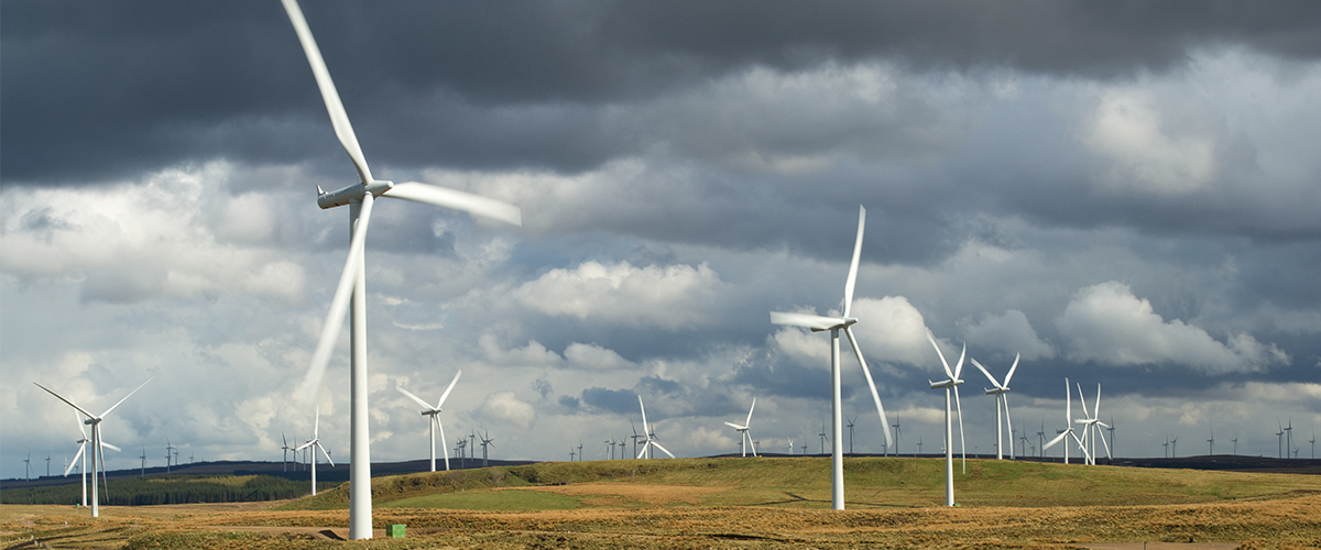 A picture of a wind farm