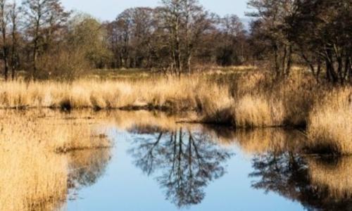 nature reserve