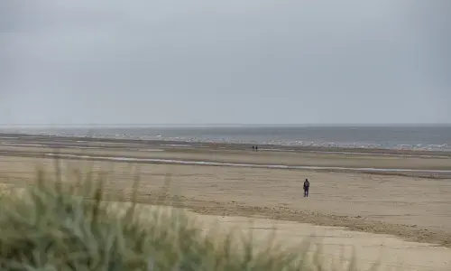 Eastern Green Link 3