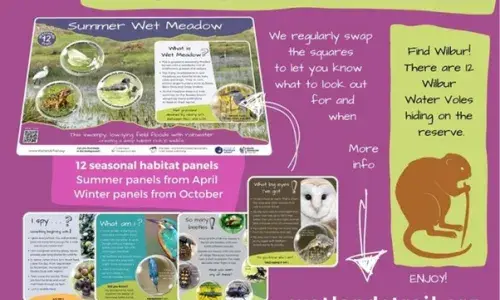 Trail flyer