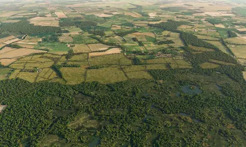 Escrick Park Estate