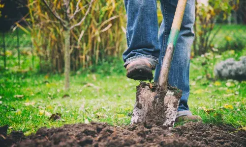 Person digging with a shovel