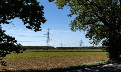 Pylon in a field, shaded by trees