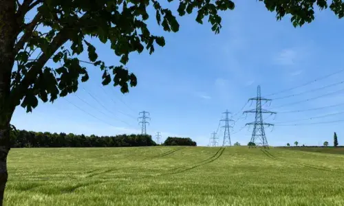 Image of pylon in a field, with tree in foreground